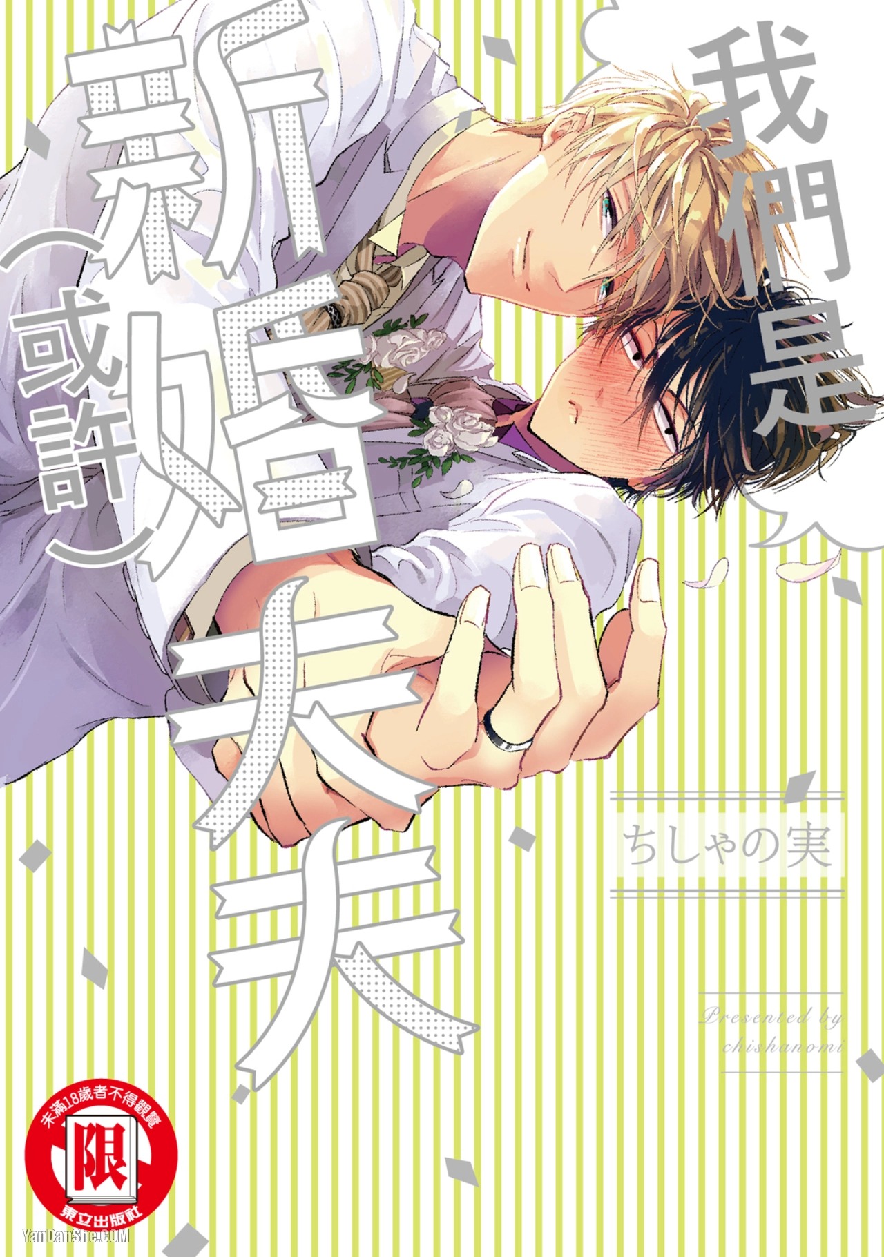 我们是新婚夫夫（或许）,我们是新婚夫夫（或许）漫画