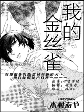我的金丝雀,我的金丝雀漫画